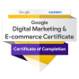 Pune, Maharashtra, India agency Panthersway wins Google Digital Marketing and E-Commerce Professional Certificate award