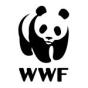 Singapore, Singapore agency MediaOne helped World Wildlife Fund grow their business with SEO and digital marketing