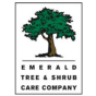 Stillwater, Minnesota, United States agency STOLBER Digital Marketing Agency helped Emerald Tree &amp; Shrub Care Co grow their business with SEO and digital marketing