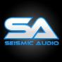 New York, New York, United States agency Thrive Internet Marketing Agency helped Seismic Audio grow their business with SEO and digital marketing