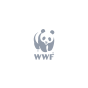 Guatemala City, Guatemala Department, Guatemala agency Perinola helped WWF grow their business with SEO and digital marketing