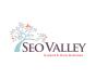 SEOValley Solutions Private Limited