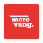 Tampa, Florida, United States agency ROI Amplified helped More Vang grow their business with SEO and digital marketing