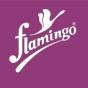 Ahmedabad, Gujarat, India agency Zero Gravity Communications helped Flamingo Health grow their business with SEO and digital marketing