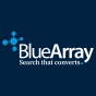 Blue Array SEO