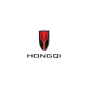 Dubai, Dubai, United Arab Emirates agency DigitalsetGo helped Hongqi grow their business with SEO and digital marketing