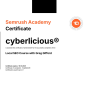 St. Petersburg, Florida, United States agency cyberlicious® wins Semrush Local SEO Certified Agency award