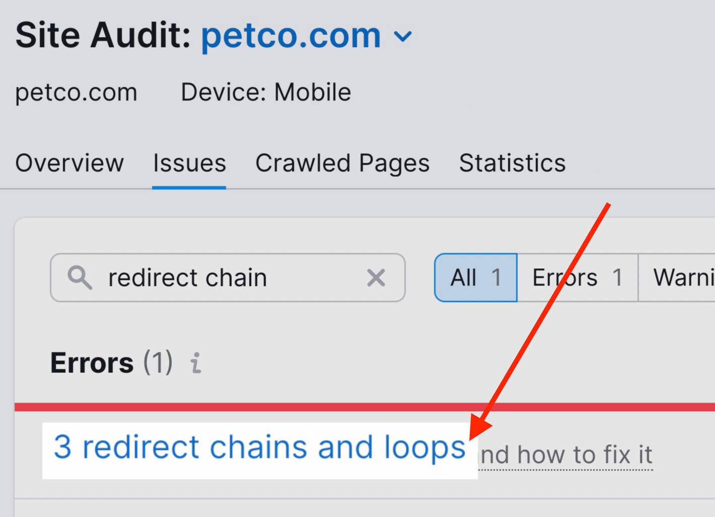 Redirect chain and loops error is highlighted.