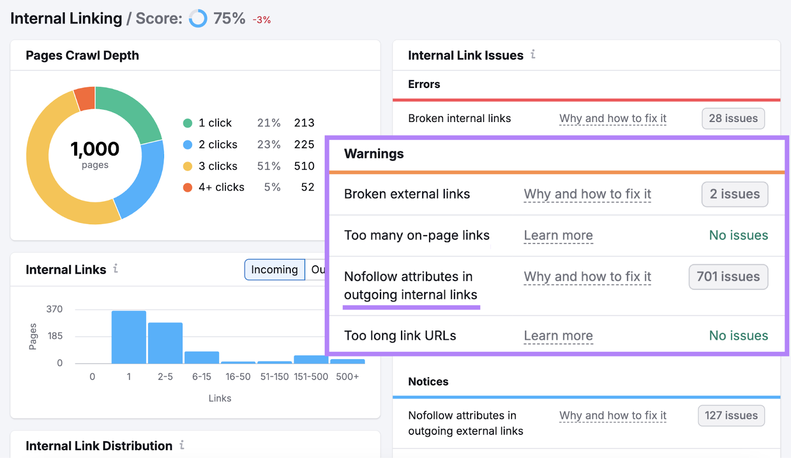 Nofollow attributes in outgoing internal links issues are highlighted.