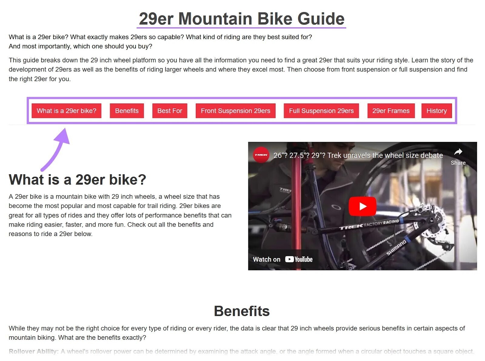 An article titled "29er Mountain Bike Guide"