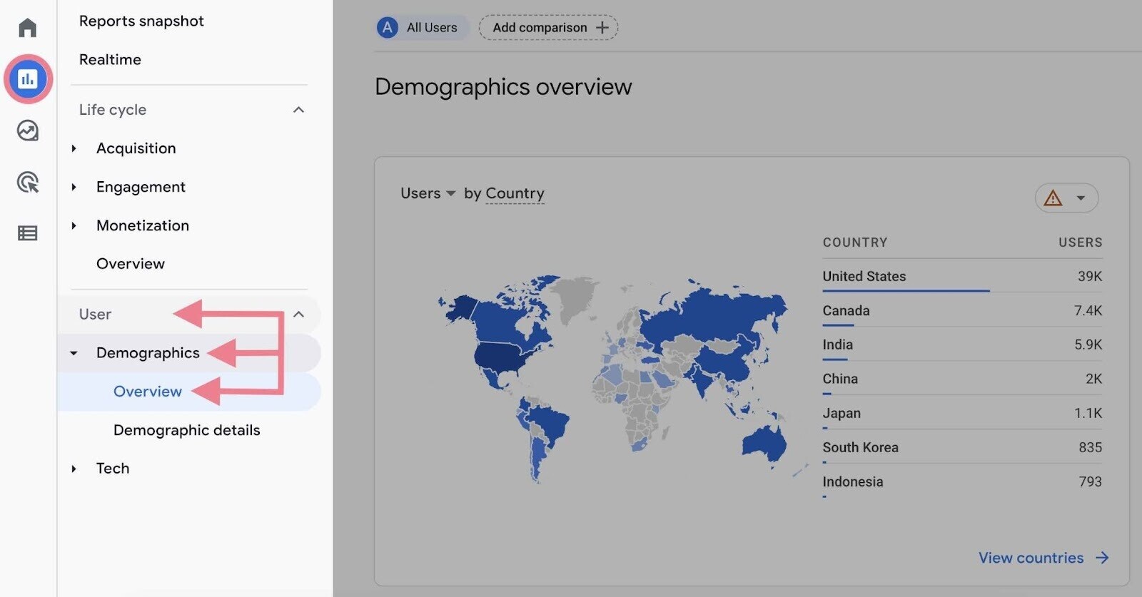 Google Analytics audience demographics