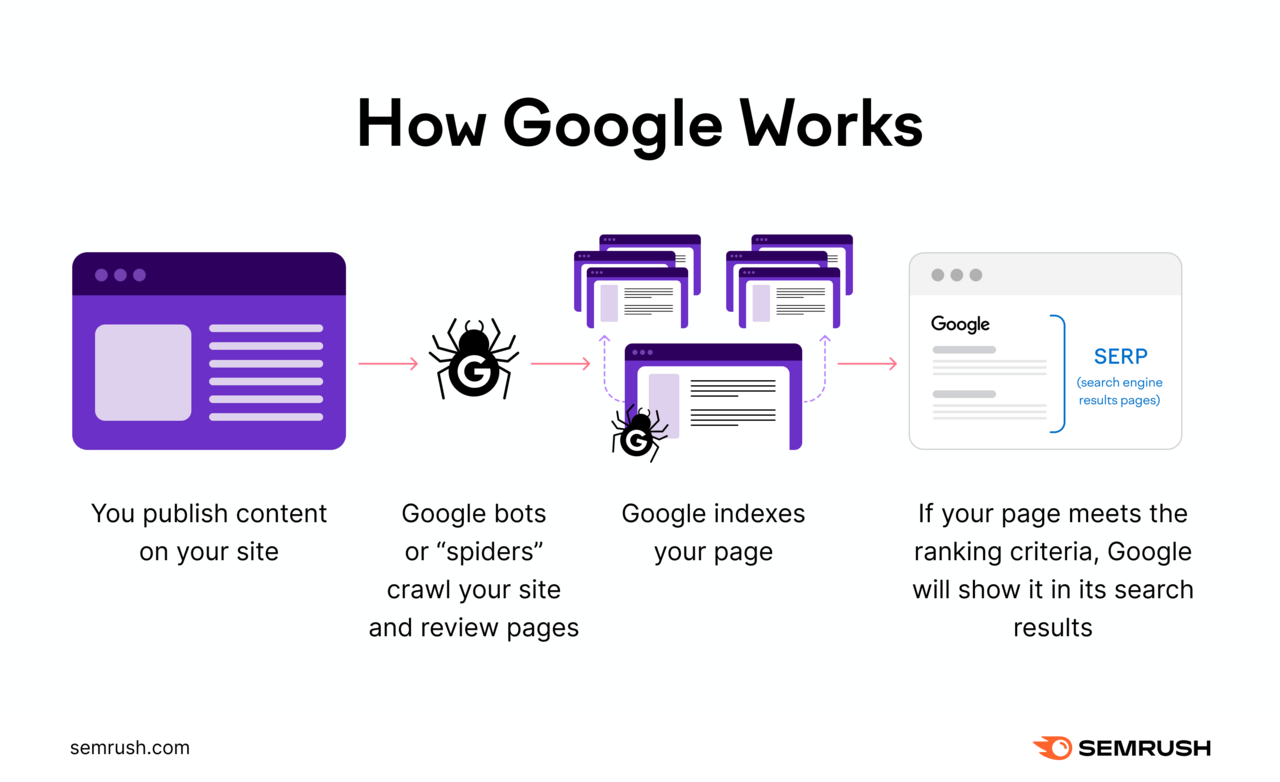 You publish content, Google crawls your site, Google indexes your pages, then Google shows a page in search results if it meets ranking criteria.