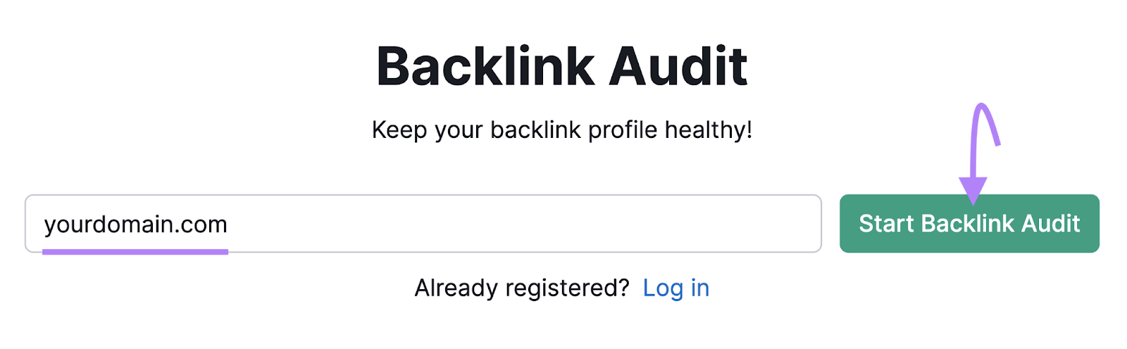 domain entered into Backlink Audit tool