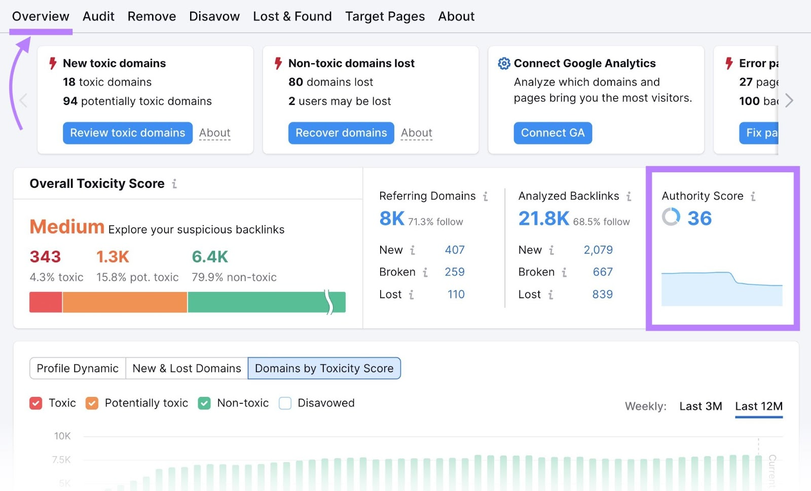 Overview section in Backlink Audit tool