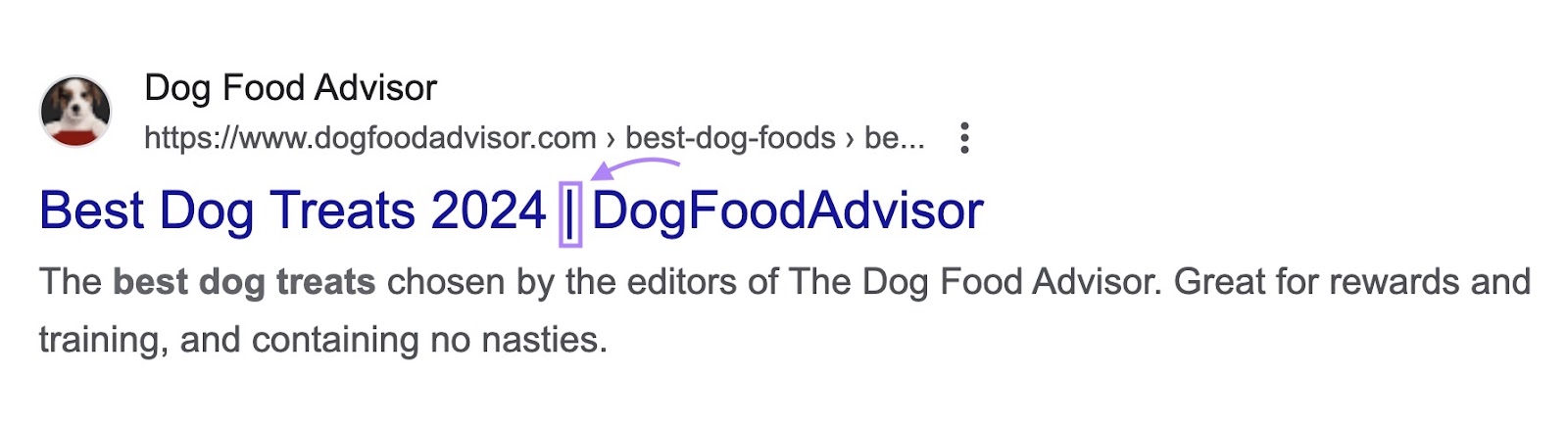 Title on SERP that reads: "Best Dog Treats 2024 | DogFoodAdvisor"