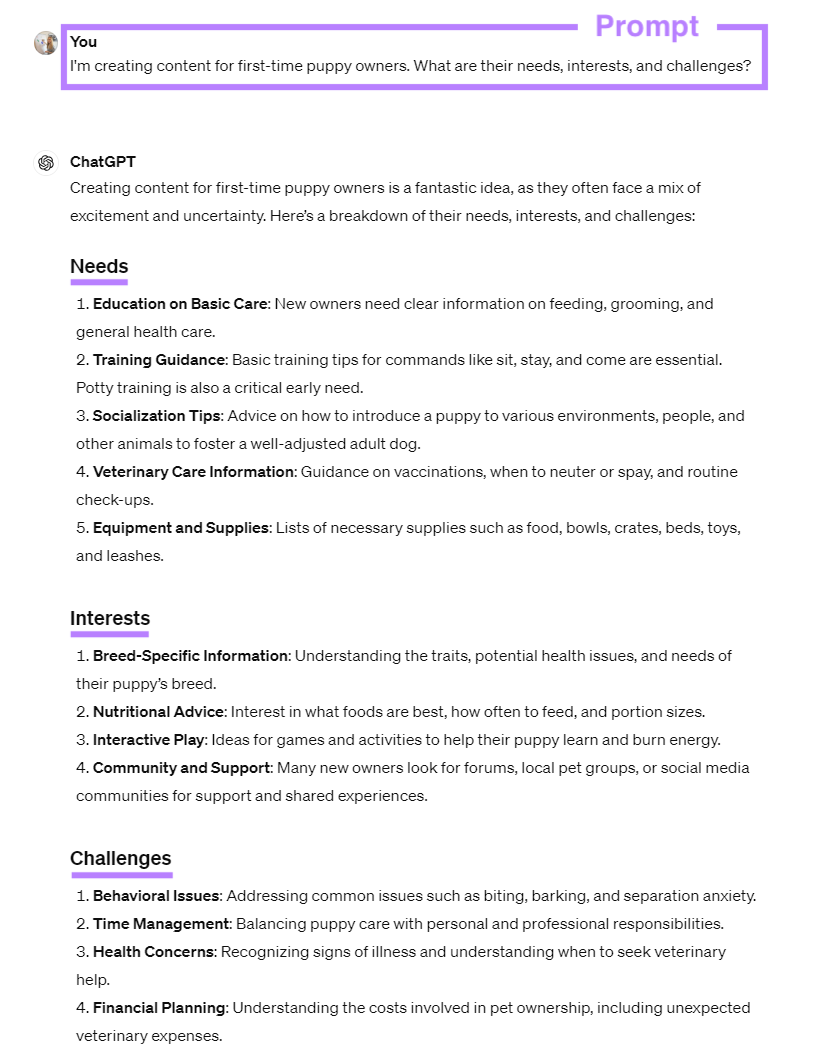 A ChatGPT prompt and response with subheadings and numbered points