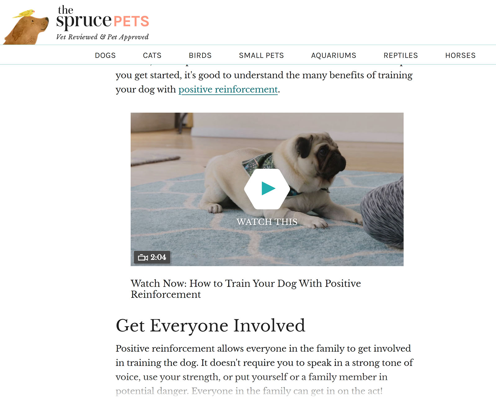 Blog post by The Spruce Pets with Video in content