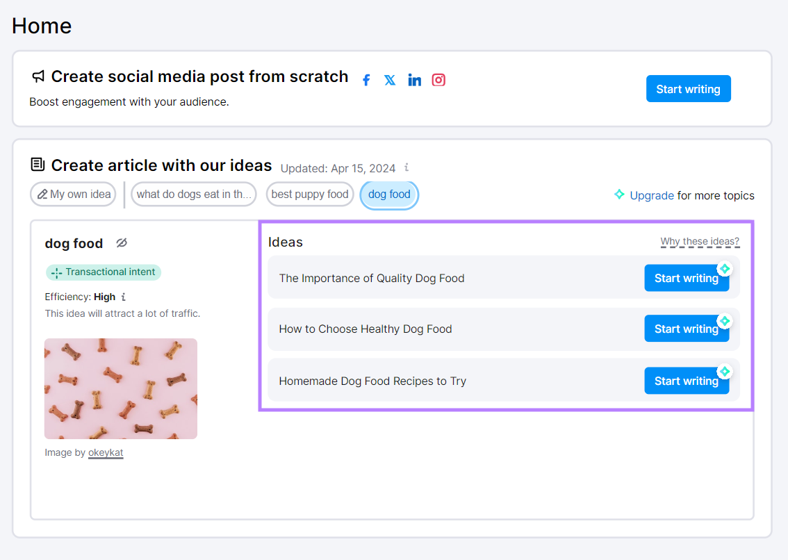 Article ideas generated for the keyword 'dog food' using the Content Shake AI tool