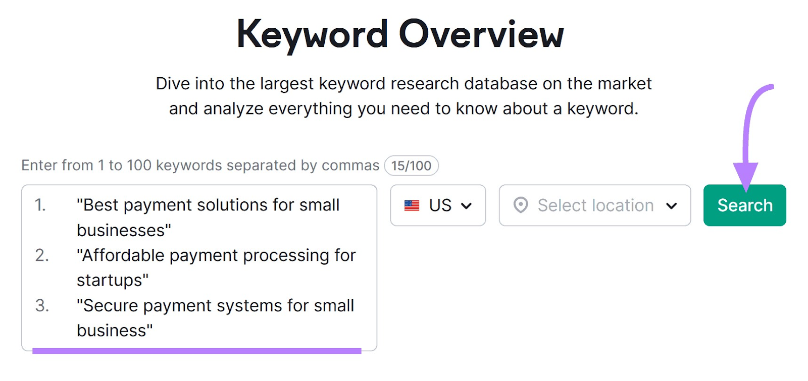 Keyword Overview tool search bar