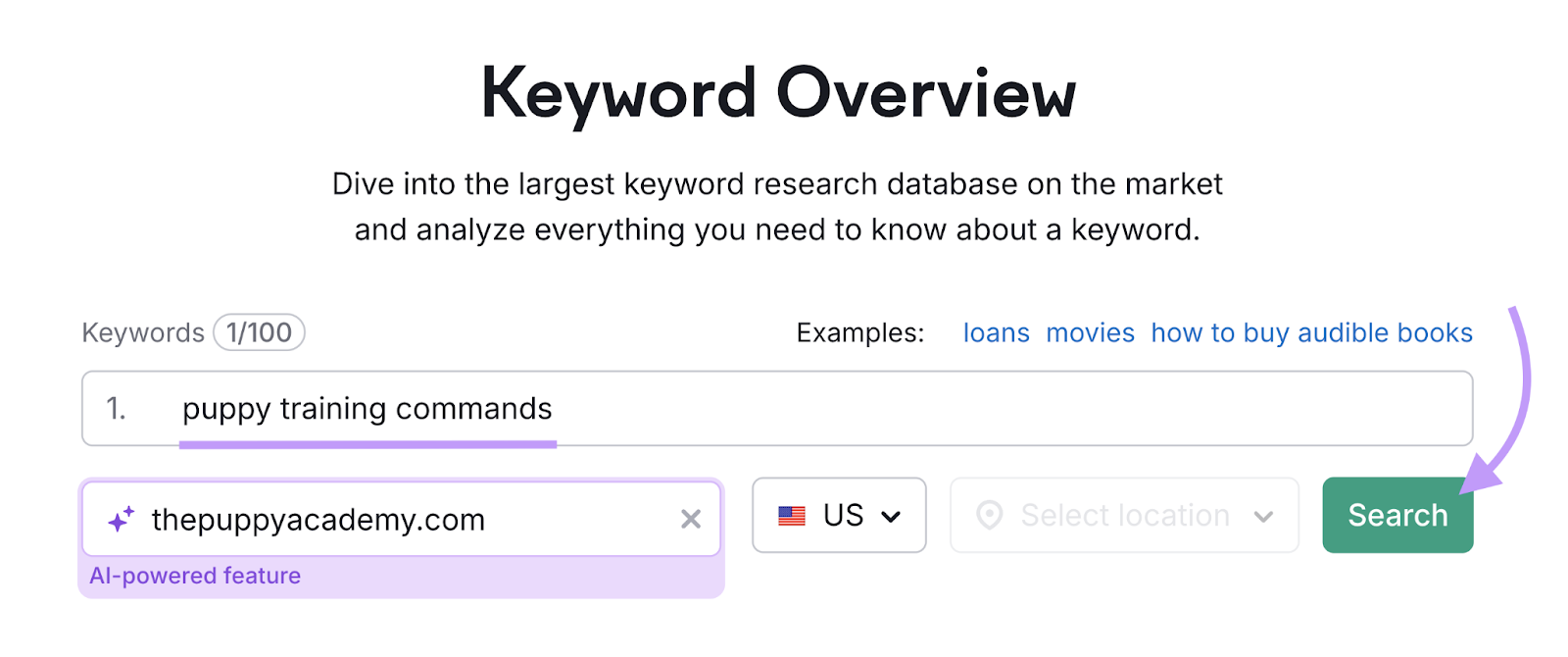 keyword and domain entered